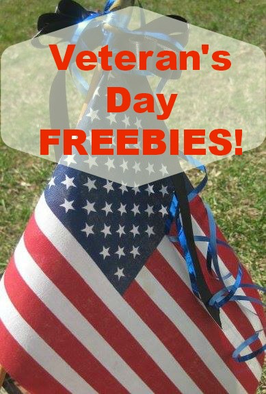 veteran's day 2013 freebies