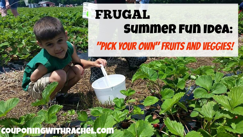 frugal summer fun pick your own