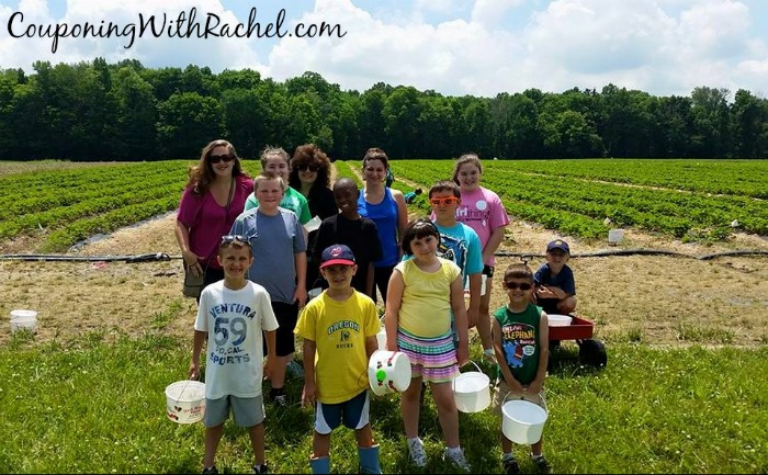 pick your own in northeast ohio