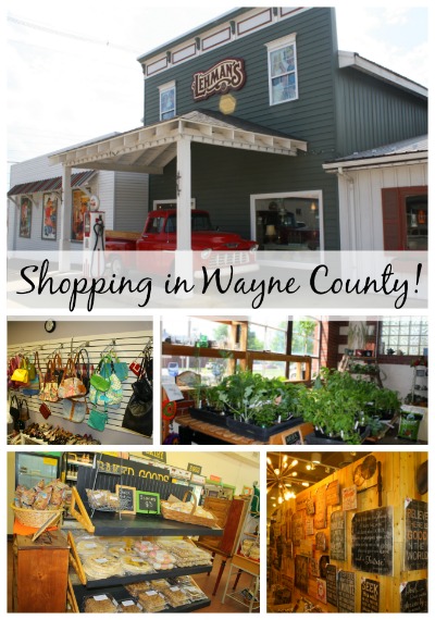 shopping in wayne county ohio